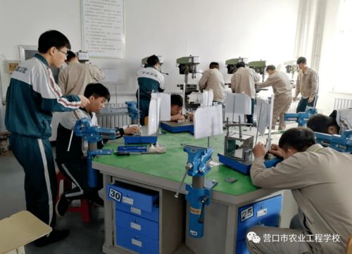 推進職業教育實用高效發展 提升服務地區發展能力